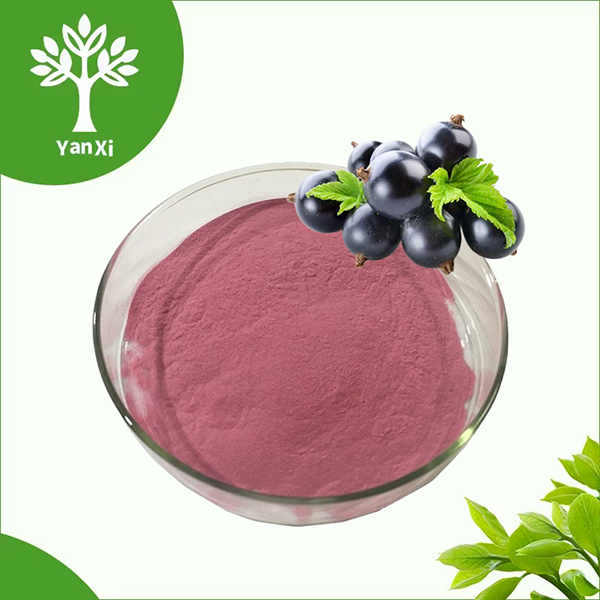 Black Currant Powder Black Currant Powder